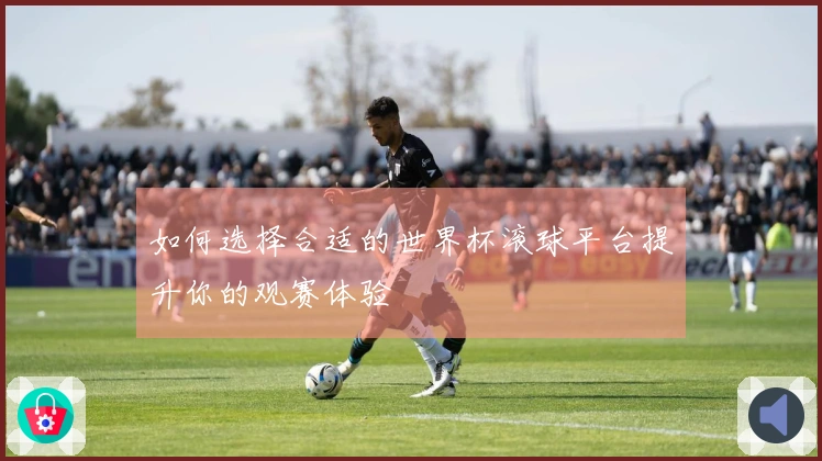如何选择合适的世界杯滚球平台提升你的观赛体验