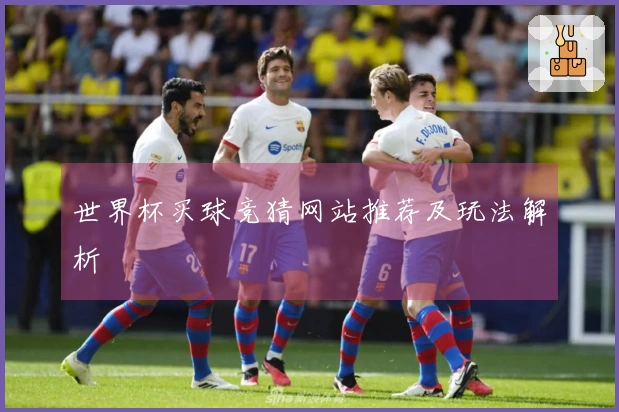 世界杯买球竞猜网站推荐及玩法解析