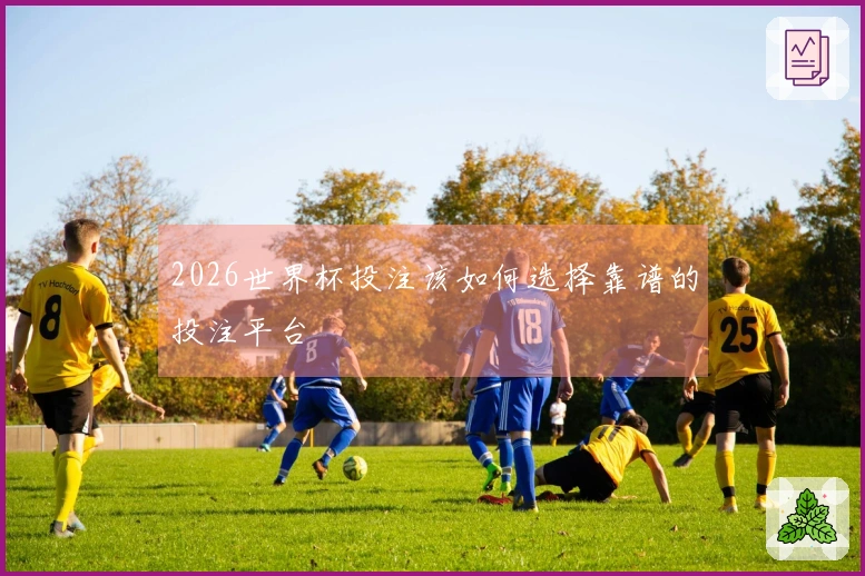 2026世界杯投注该如何选择靠谱的投注平台