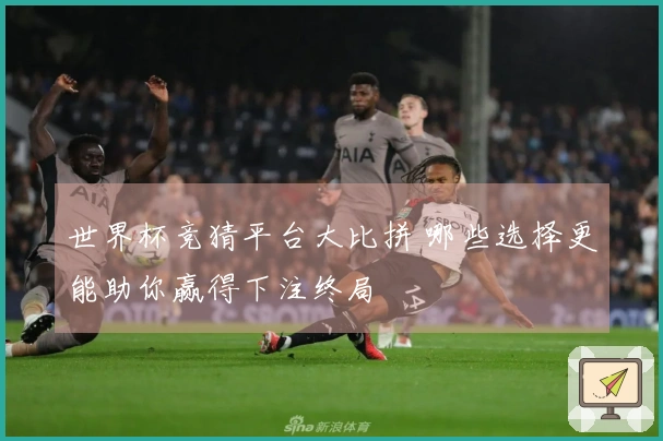 世界杯竞猜平台大比拼 哪些选择更能助你赢得下注终局