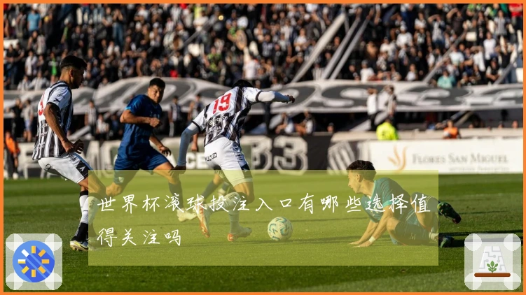 世界杯滚球投注入口有哪些选择值得关注吗