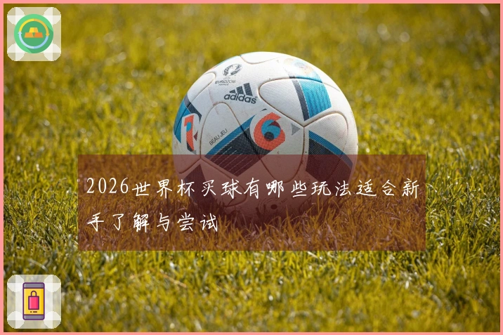 2026世界杯买球有哪些玩法适合新手了解与尝试