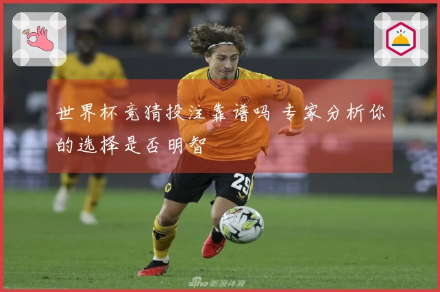 世界杯竞猜投注靠谱吗 专家分析你的选择是否明智