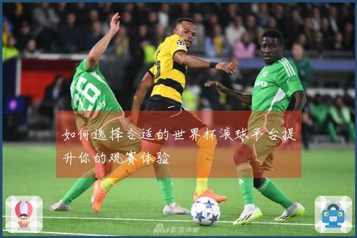 如何选择合适的世界杯滚球平台提升你的观赛体验