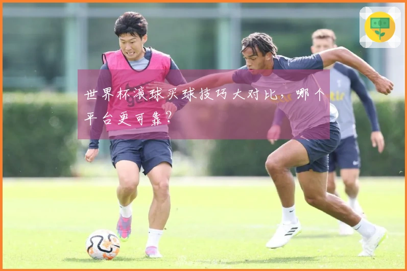 世界杯滚球买球技巧大对比，哪个平台更可靠？