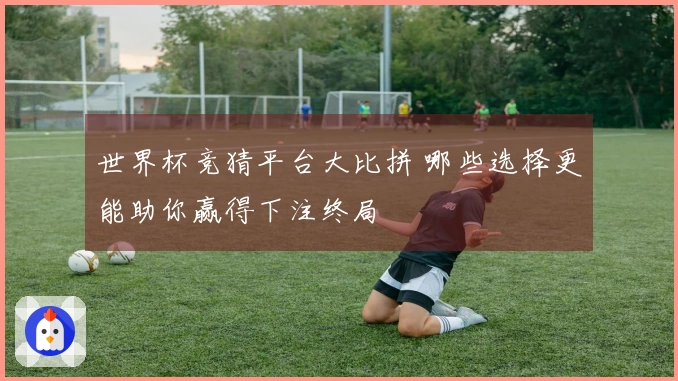 世界杯竞猜平台大比拼 哪些选择更能助你赢得下注终局