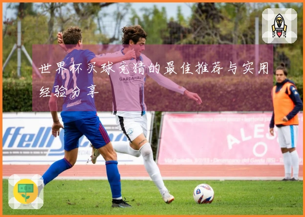 世界杯买球竞猜的最佳推荐与实用经验分享