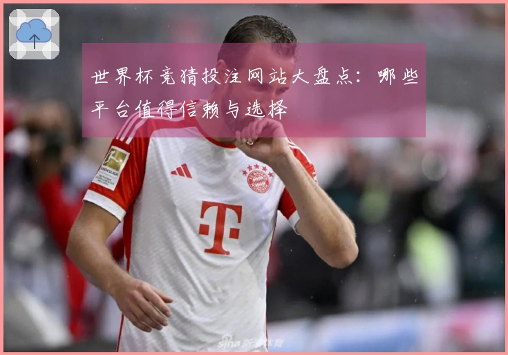 世界杯竞猜投注网站大盘点：哪些平台值得信赖与选择